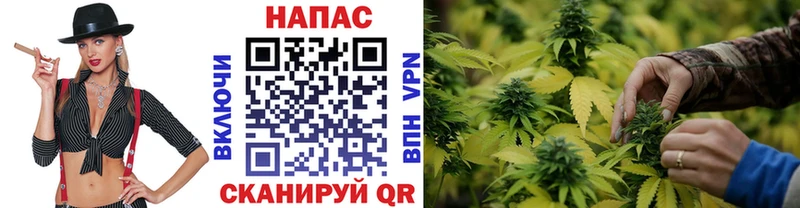Как найти наркотики Починок Галлюциногенные грибы  Меф мяу мяу  ГАШИШ  Марихуана  Cocaine  ТГК  СОЛЬ 