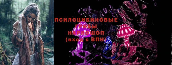 ПСИЛОЦИБИНОВЫЕ ГРИБЫ Балабаново
