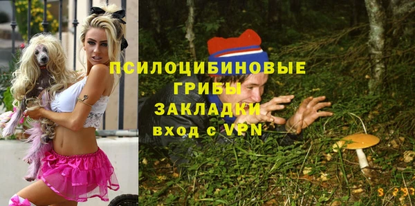 метадон Арсеньев