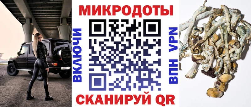 Псилоцибиновые грибы Cubensis  MEGA ССЫЛКА  Починок 